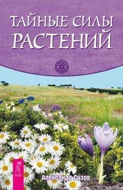 Александр Сизов - Тайные силы растений - Читать 📖 Читать онлайн 👀 Читаемые книги читать онлайн бесплатно 🔥 booksread-online.com