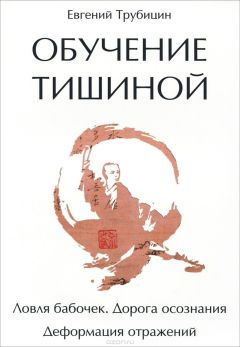 Евгений Трубицн - Ловля бабочек. Дорога осознания - Читать | Читать онлайн | Читаемые книги читать онлайн бесплатно | booksread-online.com