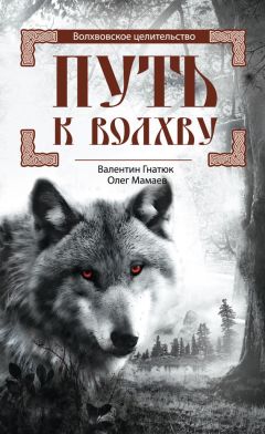 Олег Мамаев - Путь к волхву - Читать 📖 Читать онлайн 👀 Читаемые книги читать онлайн бесплатно 🔥 booksread-online.com