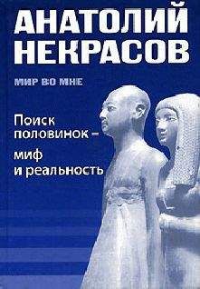 Анатолий Некрасов - Поиск половинок - миф и реальность - Читать 📖 Читать онлайн 👀 Читаемые книги читать онлайн бесплатно 🔥 booksread-online.com