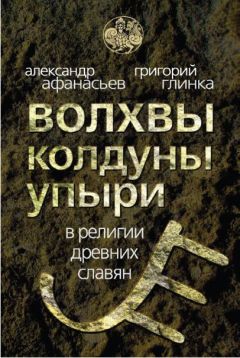 Александр Афанасьев - Волхвы, колдуны упыри в религии древних славян - Читать | Читать онлайн | Читаемые книги читать онлайн бесплатно | booksread-online.com
