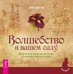 Эллен Дуган - Волшебство в вашем саду. Магические свойства растений и способы работы с ними - Читать 📖 Читать онлайн 👀 Читаемые книги читать онлайн бесплатно 🔥 booksread-online.com