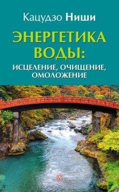 Кацудзо Ниши - Энергетика воды: исцеление, очищение, омоложение - Читать 📖 Читать онлайн 👀 Читаемые книги читать онлайн бесплатно 🔥 booksread-online.com