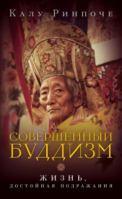 Калу Ринпоче - Совершенный буддизм. Жизнь, достойная подражания - Читать 📖 Читать онлайн 👀 Читаемые книги читать онлайн бесплатно 🔥 booksread-online.com