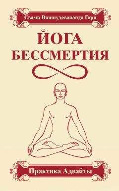Свами Гири - Йога бессмертия. Практика адвайты - Читать 📖 Читать онлайн 👀 Читаемые книги читать онлайн бесплатно 🔥 booksread-online.com