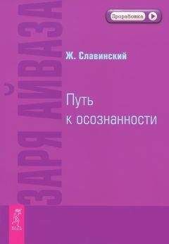 Живорад Славинский - Заря Айваза. Путь к осознанности - Читать 📖 Читать онлайн 👀 Читаемые книги читать онлайн бесплатно 🔥 booksread-online.com