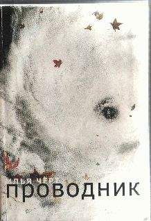 Илья Чёрт - Проводник - Читать 📖 Читать онлайн 👀 Читаемые книги читать онлайн бесплатно 🔥 booksread-online.com
