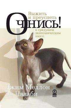 Эл Чалаби - Очнись! Выжить и преуспеть в грядущем экономическом хаосе - Читать 📖 Читать онлайн 👀 Читаемые книги читать онлайн бесплатно 🔥 booksread-online.com