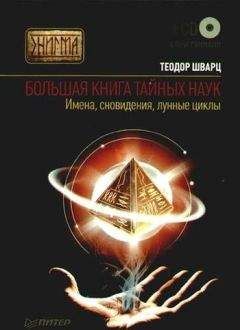 Теодор Шварц - Большая книга тайных наук. Имена, сновидения, лунные циклы - Читать 📖 Читать онлайн 👀 Читаемые книги читать онлайн бесплатно 🔥 booksread-online.com