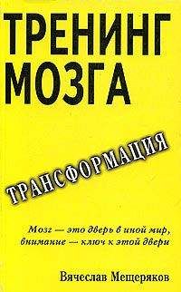 Вячеслав Мещеряков - Тренинг мозга - Читать 📖 Читать онлайн 👀 Читаемые книги читать онлайн бесплатно 🔥 booksread-online.com