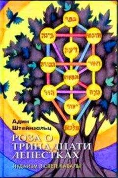Адин Штайнзальц - Роза о тринадцати лепестках - Читать 📖 Читать онлайн 👀 Читаемые книги читать онлайн бесплатно 🔥 booksread-online.com