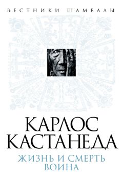 Борис Булгаков - Карлос Кастанеда. Жизнь и смерть Воина - Читать 📖 Читать онлайн 👀 Читаемые книги читать онлайн бесплатно 🔥 booksread-online.com
