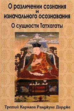 Третий Кармапа Ранджунг Дордже - О различении сознания и изначального осознавания. О сущности Татхагаты - Читать 📖 Читать онлайн 👀 Читаемые книги читать онлайн бесплатно 🔥 booksread-online.com