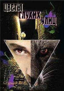 Чёрный Лис - Цветы глухих улиц - Читать 📖 Читать онлайн 👀 Читаемые книги читать онлайн бесплатно 🔥 booksread-online.com