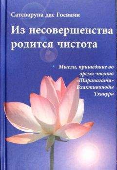 Сатсварупа Даса Госвами - Из несовершенства возникнет чистота - Читать 📖 Читать онлайн 👀 Читаемые книги читать онлайн бесплатно 🔥 booksread-online.com