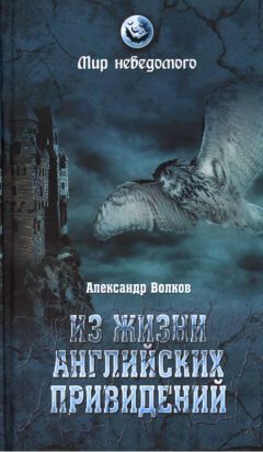 Александр Волков - Из жизни английских привидений - Читать 📖 Читать онлайн 👀 Читаемые книги читать онлайн бесплатно 🔥 booksread-online.com