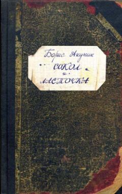 Борис Акунин - Сокол и Ласточка - Читать 📖 Читать онлайн 👀 Читаемые книги читать онлайн бесплатно 🔥 booksread-online.com