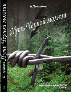 Александр Теущаков - Путь &quot;Чёрной молнии&quot; - Читать 📖 Читать онлайн 👀 Читаемые книги читать онлайн бесплатно 🔥 booksread-online.com
