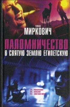 Томаш Миркович - Паломничество в Святую Землю Египетскую - Читать 📖 Читать онлайн 👀 Читаемые книги читать онлайн бесплатно 🔥 booksread-online.com