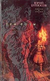 Юрий Бурносов - Три розы - Читать 📖 Читать онлайн 👀 Читаемые книги читать онлайн бесплатно 🔥 booksread-online.com