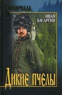 Иван Басаргин - Дикие пчелы - Читать 📖 Читать онлайн 👀 Читаемые книги читать онлайн бесплатно 🔥 booksread-online.com