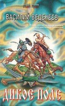 Василий Веденеев - Дикое поле - Читать 📖 Читать онлайн 👀 Читаемые книги читать онлайн бесплатно 🔥 booksread-online.com