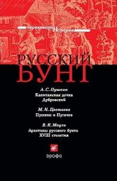 В. Мауль - Русский бунт - Читать | Читать онлайн | Читаемые книги читать онлайн бесплатно | booksread-online.com