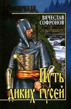 Вячеслав Софронов - Путь диких гусей - Читать 📖 Читать онлайн 👀 Читаемые книги читать онлайн бесплатно 🔥 booksread-online.com