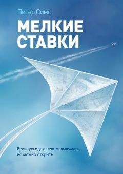 Питер Симс - Мелкие ставки. Великую идею нельзя выдумать, но можно открыть - Читать 📖 Читать онлайн 👀 Читаемые книги читать онлайн бесплатно 🔥 booksread-online.com
