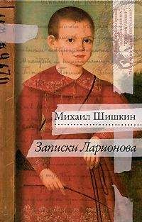 Михаил Шишкин - Записки Ларионова - Читать 📖 Читать онлайн 👀 Читаемые книги читать онлайн бесплатно 🔥 booksread-online.com