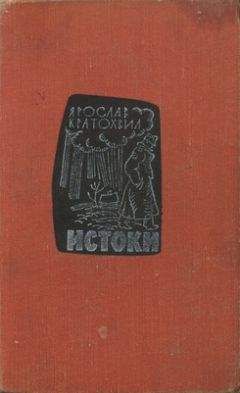 Ярослав Кратохвил - Истоки - Читать | Читать онлайн | Читаемые книги читать онлайн бесплатно | booksread-online.com