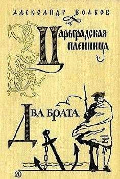 Александр Волков - Два брата (др. ред.) - Читать 📖 Читать онлайн 👀 Читаемые книги читать онлайн бесплатно 🔥 booksread-online.com