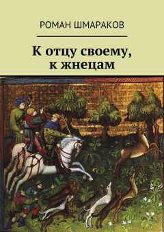 Роман Шмараков - К отцу своему, к жнецам - Читать 📖 Читать онлайн 👀 Читаемые книги читать онлайн бесплатно 🔥 booksread-online.com