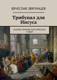 Вячеслав Звягинцев - Трибунал для Иисуса. Особое мнение российского судьи - Читать 📖 Читать онлайн 👀 Читаемые книги читать онлайн бесплатно 🔥 booksread-online.com