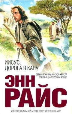 Энн Райс - Иисус. Дорога в Кану - Читать 📖 Читать онлайн 👀 Читаемые книги читать онлайн бесплатно 🔥 booksread-online.com