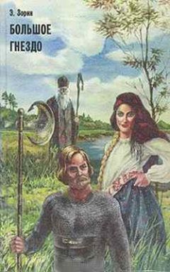 Эдуард Зорин - Большое Гнездо - Читать | Читать онлайн | Читаемые книги читать онлайн бесплатно | booksread-online.com