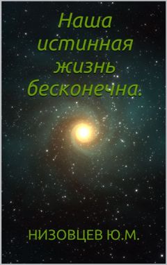 Юрий Низовцев - Наша истинная жизнь бесконечна - Читать 📖 Читать онлайн 👀 Читаемые книги читать онлайн бесплатно 🔥 booksread-online.com