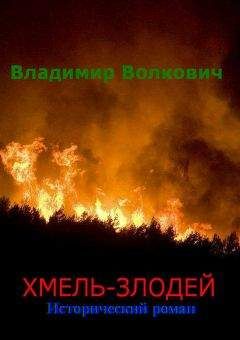 Владимир Волкович - Хмель-злодей - Читать 📖 Читать онлайн 👀 Читаемые книги читать онлайн бесплатно booksread-online.com