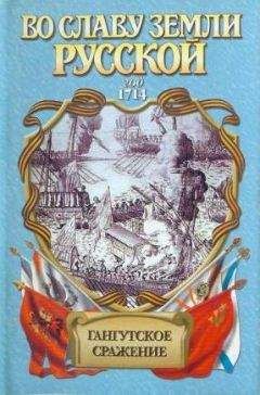 Иван Фирсов - Гангутское сражение. Морская сила - Читать 📖 Читать онлайн 👀 Читаемые книги читать онлайн бесплатно 🔥 booksread-online.com