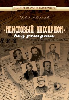 Юрий Домбровский - «Неистовый Виссарион» без ретуши - Читать 📖 Читать онлайн 👀 Читаемые книги читать онлайн бесплатно 🔥 booksread-online.com