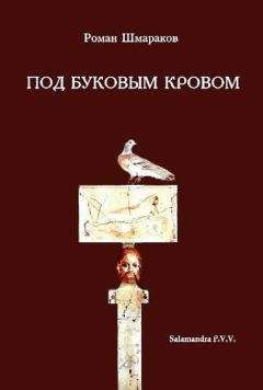 Роман Шмараков - ПОД БУКОВЫМ КРОВОМ - Читать | Читать онлайн | Читаемые книги читать онлайн бесплатно | booksread-online.com