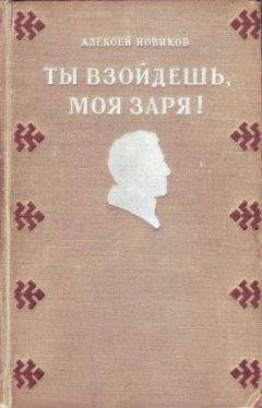 Алексей Новиков - Ты взойдешь, моя заря! - Читать | Читать онлайн | Читаемые книги читать онлайн бесплатно | booksread-online.com