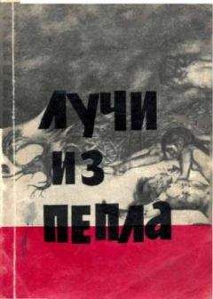 Роберт Юнг - Лучи из пепла. - Читать | Читать онлайн | Читаемые книги читать онлайн бесплатно | booksread-online.com