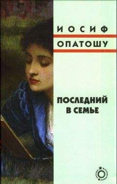 Иосиф Опатошу - Последний в семье - Читать | Читать онлайн | Читаемые книги читать онлайн бесплатно | booksread-online.com