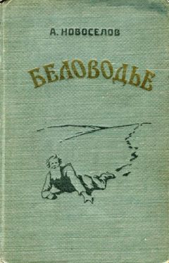 Александр Новосёлов - Беловодье - Читать 📖 Читать онлайн 👀 Читаемые книги читать онлайн бесплатно 🔥 booksread-online.com