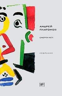 Андрей Платонов - Том 5. Смерти нет! - Читать | Читать онлайн | Читаемые книги читать онлайн бесплатно | booksread-online.com