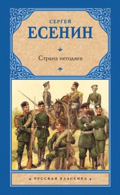 Сергей Есенин - Страна негодяев (сборник) - Читать 📖 Читать онлайн 👀 Читаемые книги читать онлайн бесплатно 🔥 booksread-online.com