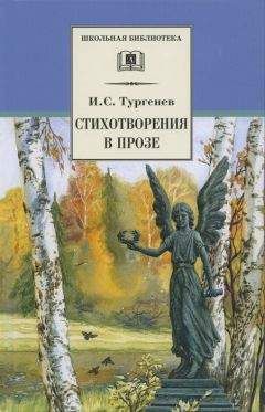 Иван Тургенев - Стихотворения в прозе - Читать 📖 Читать онлайн 👀 Читаемые книги читать онлайн бесплатно 🔥 booksread-online.com