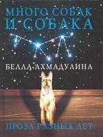 Белла Ахмадулина - Много собак и собака - Читать 📖 Читать онлайн 👀 Читаемые книги читать онлайн бесплатно 🔥 booksread-online.com