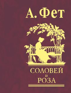 Афанасий Фет - Соловей и роза - Читать 📖 Читать онлайн 👀 Читаемые книги читать онлайн бесплатно 🔥 booksread-online.com